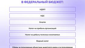 Чем выше доход, тем ниже налог: как это работает в Pull and Bear