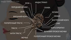 Как безопасно проколоть нос с использованием профессионального пистолета в Pull and Bear