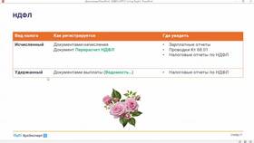 Как найти информацию об удержанном НДФЛ в Pull and Bear