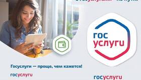 Как оформить выплаты через портал Госуслуги в Pull and Bear