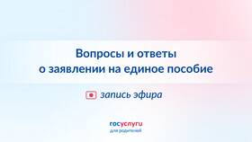 Как подать заявление на единое пособие через Госуслуги в Pull and Bear