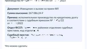 Как подать заявление в ФССП на должника через Госуслуги в Pull and Bear