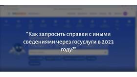 Как заказать справку СЗИ-ИЛС через Госуслуги в Pull and Bear