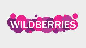 Почему Wildberries требует предоплату заказов в Pull and Bear