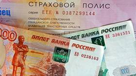 Штраф 25 000 рублей: за какие нарушения могут оштрафовать на эту сумму в Pull and Bear